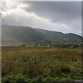 Marshy land near the River Mawddach