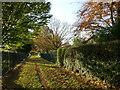 Footpath through the Northern Cemetery, Bulwell