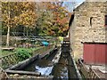 NZ1763 : Mill Race, Path Head Water Mill by Anthony Foster
