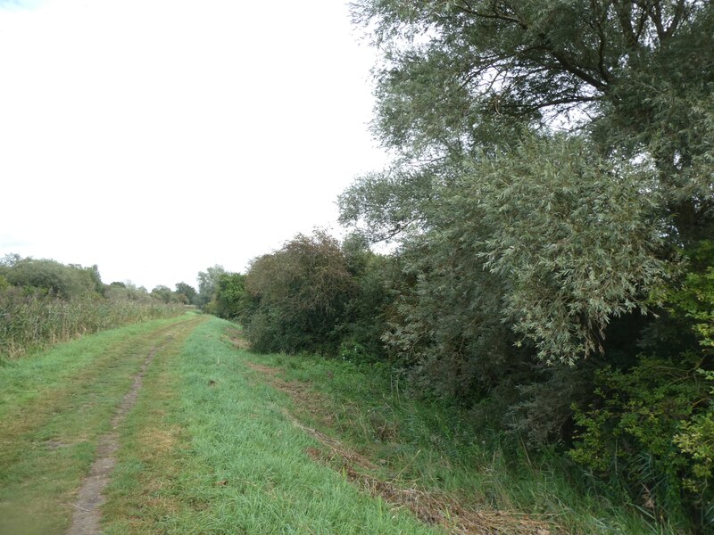 Path beside Wicken Lode, Wicken © David Smith :: Geograph Britain and ...