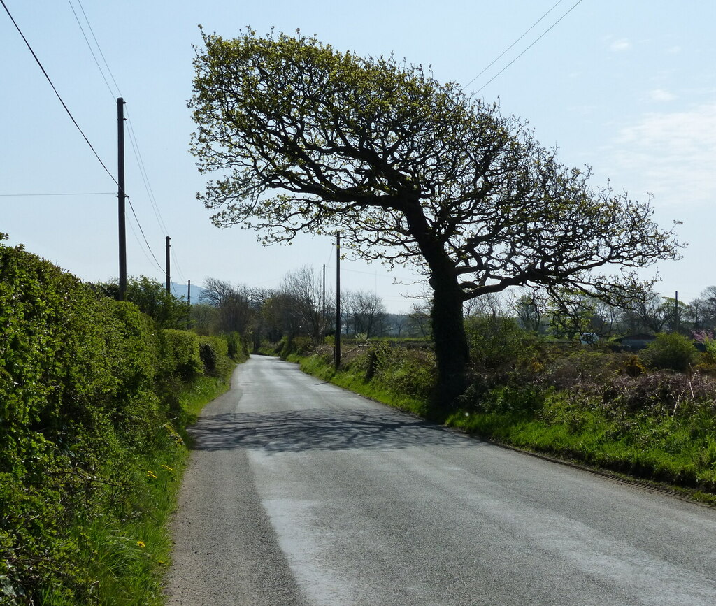 lane-towards-llandwrog-mat-fascione-geograph-britain-and-ireland