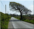 Lane towards Llandwrog