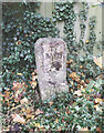 ST9169 : Old Milestone by the A350, Chippenham Road, Lacock by Gail Fawcett