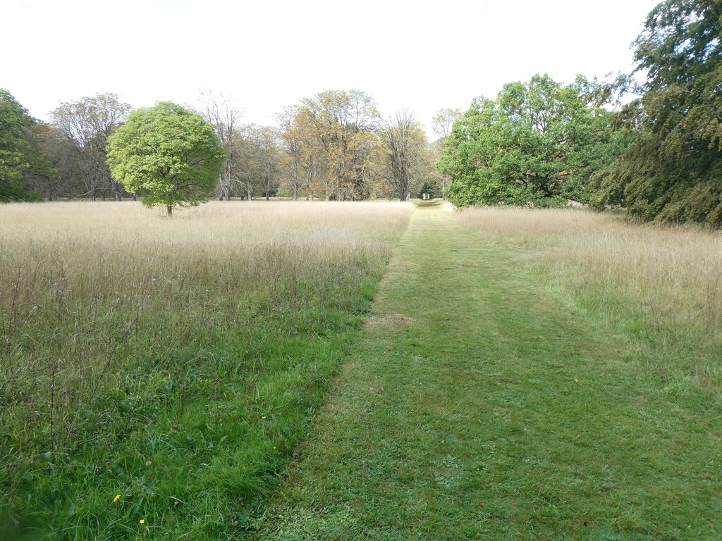 Wildflower Meadow, Anglesey Abbey © David Smith :: Geograph Britain And