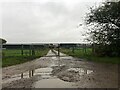 SJ3457 : Gate across the track to Llyntro Farm by Eirian Evans