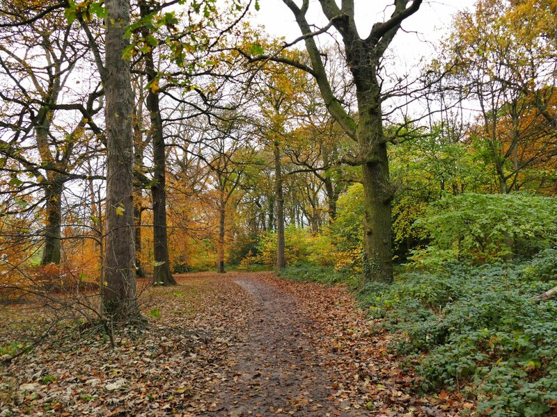 Cycle path into Roundhay Park © Stephen Craven :: Geograph Britain and ...