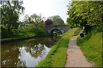 SJ8512 : Bridge 19, Shropshire Union Canal, Wheaton Aston, Staffordshire by Rod Grealish