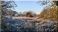 SD7100 : Frosty Re-wilded Area off Vicars Hall Lane by Anthony Parkes