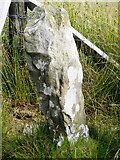 NY8907 : Old Boundary Marker south of White Stone Gill by Colin Smith