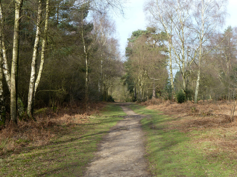 Bridleway 179, Shere © Robin Webster :: Geograph Britain and Ireland