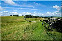 NY7868 : Hadrian's Wall Path at Housesteads by Jeff Buck