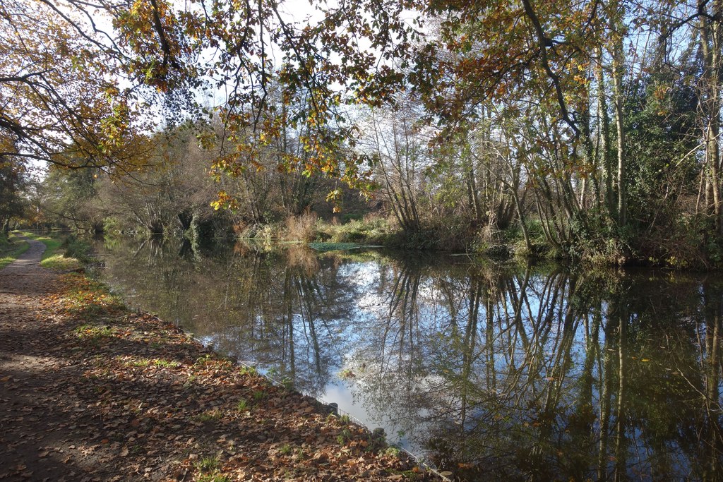 A Short Bit Of Wey Navigation © Des Blenkinsopp :: Geograph Britain And 