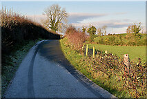 H4074 : Bend along Millbrae Road by Kenneth  Allen