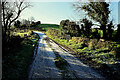 H4074 : Bend along Dunwish Road by Kenneth  Allen