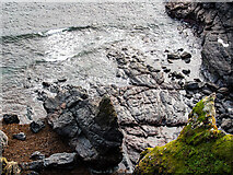 SW7011 : Rocks in Polbream Cove by John Lucas