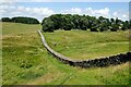 NY7968 : Hadrian's Wall at Housesteads by Jeff Buck