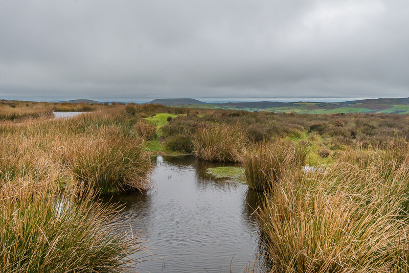 Pond © Ian Capper :: Geograph Britain And Ireland