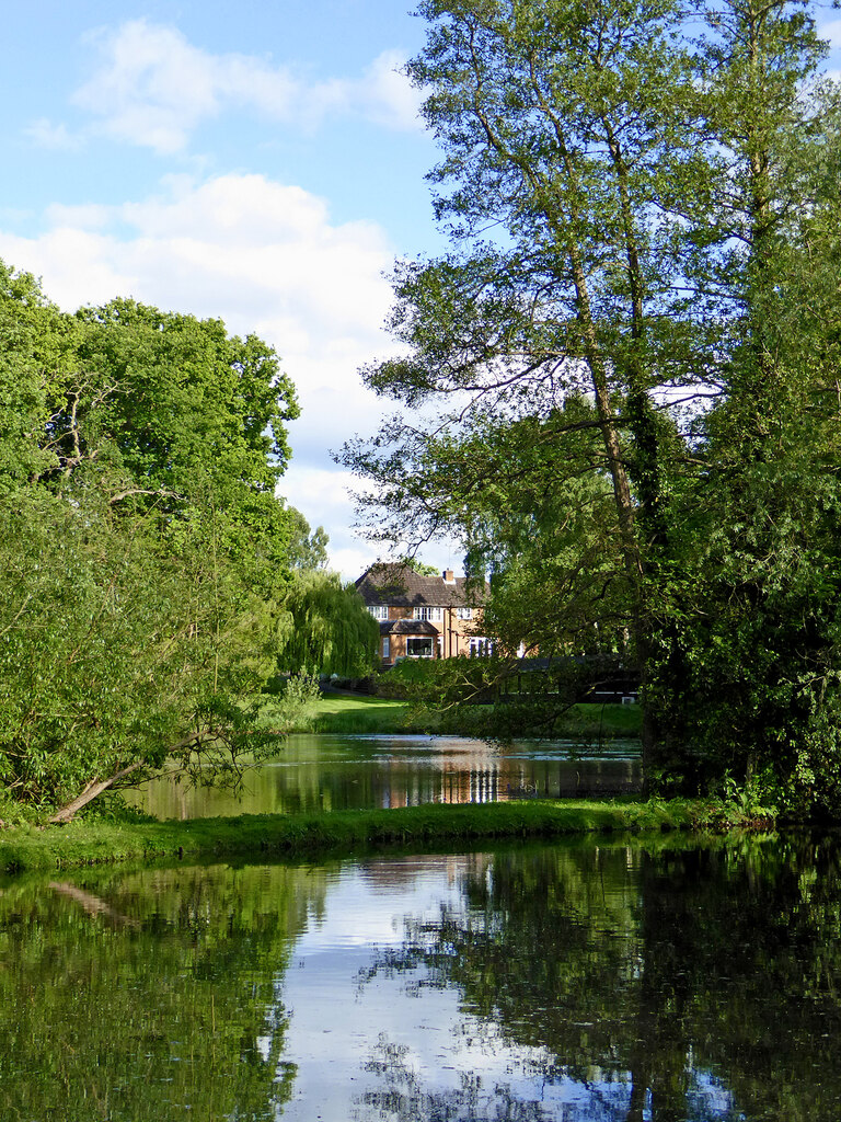 Canalside pool north of Stourton in... © Roger Kidd :: Geograph Britain ...