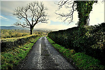 H4280 : Killynure Road, Castletown by Kenneth  Allen