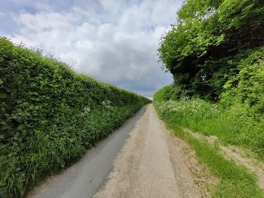 Country Lane Near Lower Dinchope © Mat Fascione :: Geograph Britain And ...