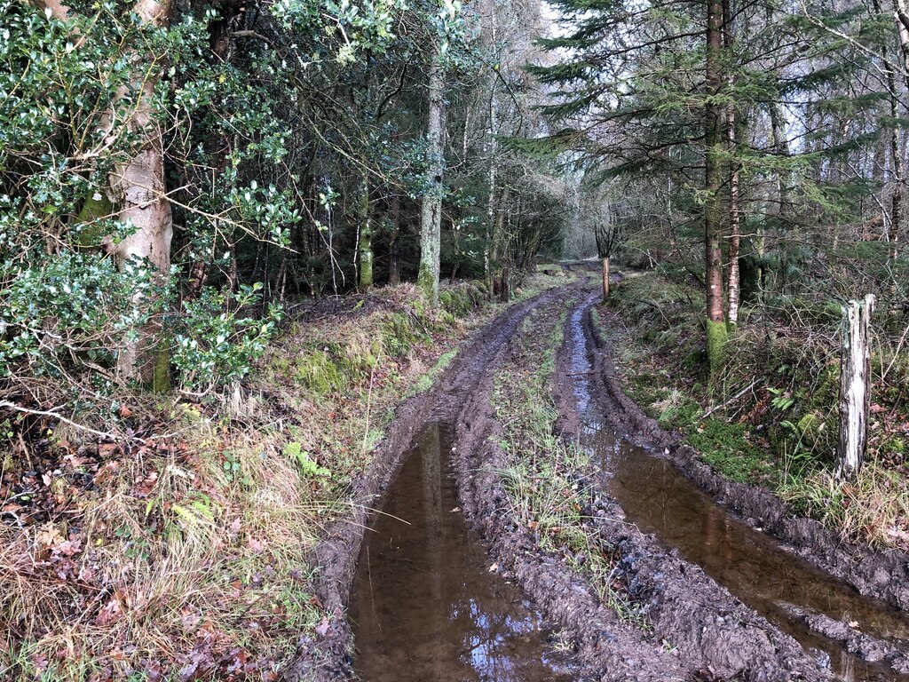 a-muddy-track-cardross-woodlands-richard-webb-geograph-britain