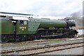 SO8555 : Flying Scotsman by Philip Halling
