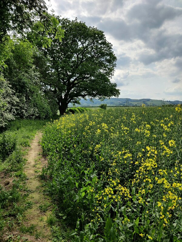 path-towards-craven-arms-mat-fascione-geograph-britain-and-ireland