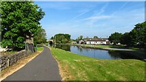 N3059 : Royal Canal at Ballynacarrigy by Colin Park
