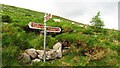 V6888 : The Kerry Way junction sign at Gortdirragh by Colin Park