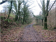 SS8091 : Llwybr beicio Bryn Goetre / Bryn Goetre cycle path by Alan Richards