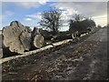 Old road alignment, Wooperton