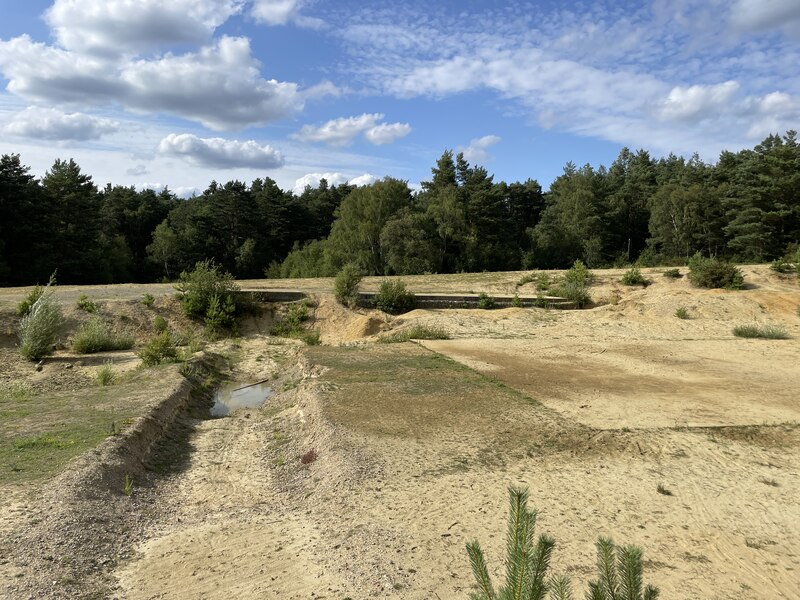 Open ground in Hawley Woods © Mr Ignavy :: Geograph Britain and Ireland