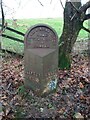 Old Milestone by the A56, Colne and Broughton Road