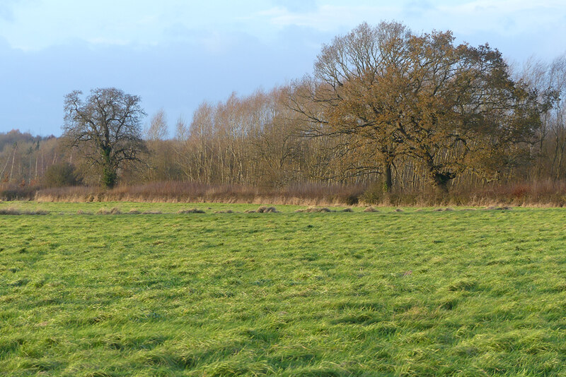 Pasture, Feckenham © Andrew Smith :: Geograph Britain and Ireland