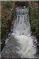 Wheel pit of former snuff mill in Watermeads nature reserve