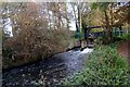 Watermeads Weir & Sluicegate