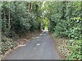 View down Fernhill Lane