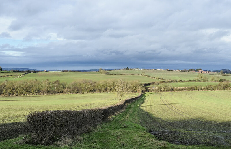 Hedge separating two fields © Trevor Littlewood :: Geograph Britain and ...