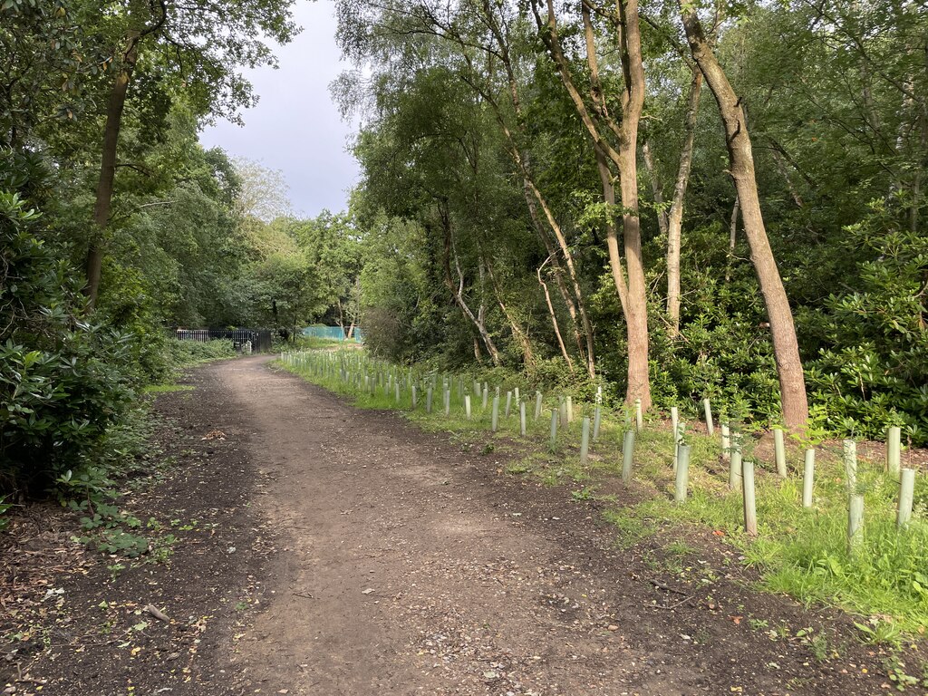 post-pipework-planting-mr-ignavy-geograph-britain-and-ireland