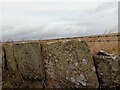 Flagstone Fence