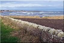 NU2329 : Beadnell Haven by Stephen McKay