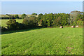 Farmland, St Keverne