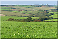 Farmland, St Keverne