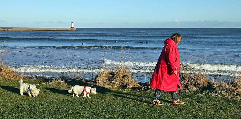 a-dog-walker-at-spittal-on-boxing-day-walter-baxter-geograph