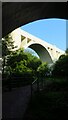 Whiteabbey - Railway Viaducts over Threemilewater