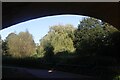 View of a willow tree through the arch of the Keynsham Bypass Bridge from Keynsham Memorial Park