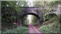 Bridge over the Kenilworth Greenway