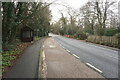 A337 towards Brockenhurst