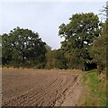 Field path, Balsall Common