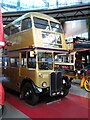 TQ3080 : London Transport Museum - gold AEC RT bus by Chris Allen